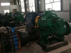 Split Case Pump for Qinghai CITIC Guoan Lithium Industry Co.
